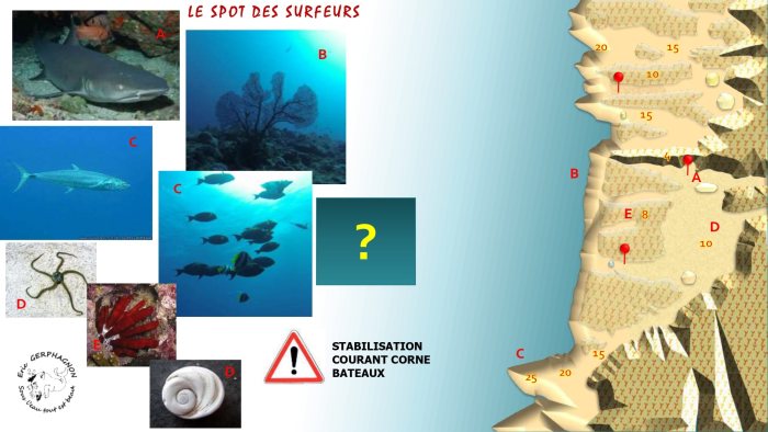 Carte — Spot aux surfers