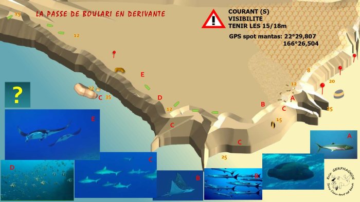 Schéma du site — Passe extérieure de Boulari