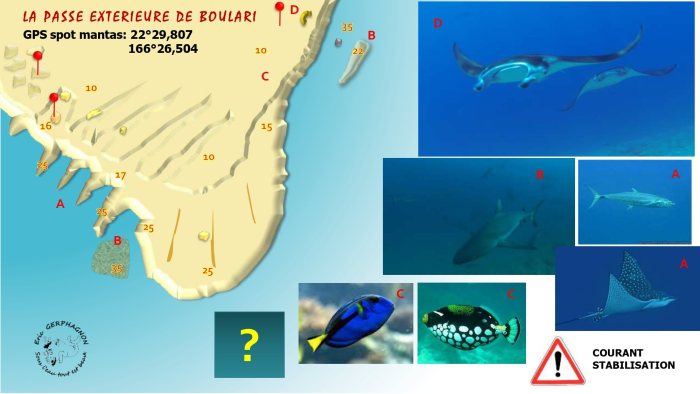 Schéma du site — Passe extérieure de Boulari
