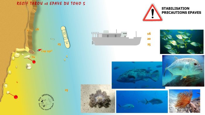Carte — Récif Tabou et Toho V
