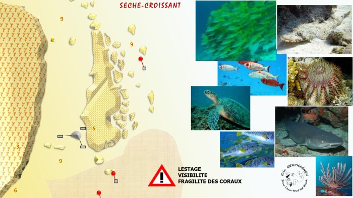 Carte — Seiche-croissant