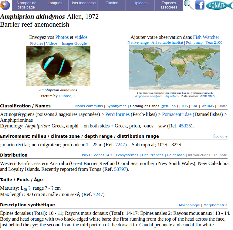 Le site FishBase, la référence pour toutes les espèces de poissons