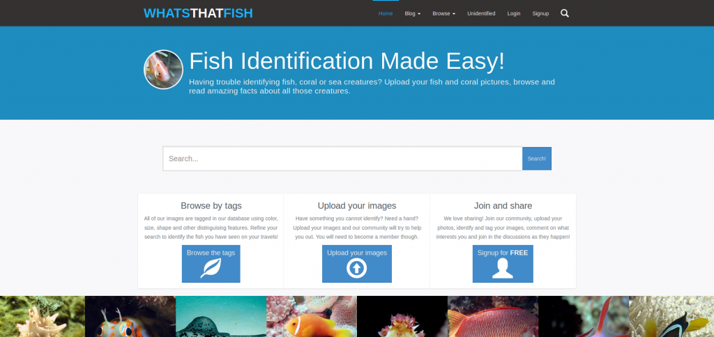 Le site What's That Fish, dédié à l'identification de photos de poissons récalcitrantes