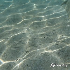  - Mer Méditerranée, Chypre, Malama Beach