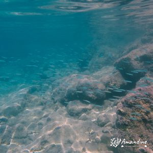  - Mer Méditerranée, Chypre, Malama Beach