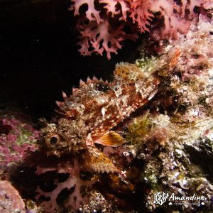  - Mer Méditerranée, France, Marseille - Le Moyadon