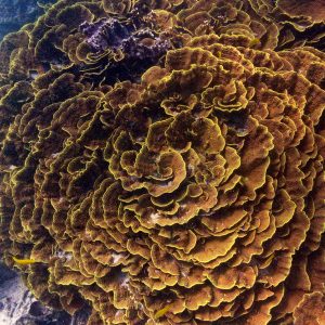  - Nouvelle-Calédonie, Bourail, La faille aux requins de Poé