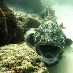  - Nouvelle-Calédonie, Bourail, La faille aux requins de Poé