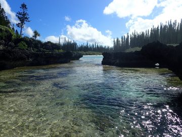 PMT en mai 2016 à la piscine naturelle de l’Île des Pins