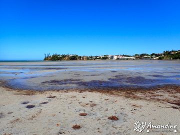 Promenade sur la plage de Magenta le 28 mars 2021