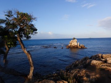 Plongée à l’aube le 14 juin 2020 au rocher à la voile à Nouméa