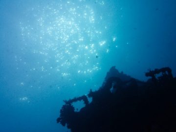 Plongée le 25 juin 2020 sur l’épave du Toho II à Nouméa