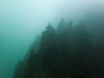 Plongées bio le 18 juillet 2020 sur l’aiguille de Prony