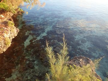PMT le 23 juillet 2016 Baie de Jinek à Lifou