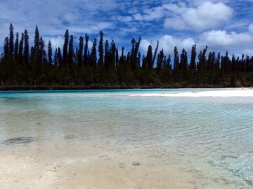 PMT en septembre 2015 à la piscine naturelle de l’Île des Pins
