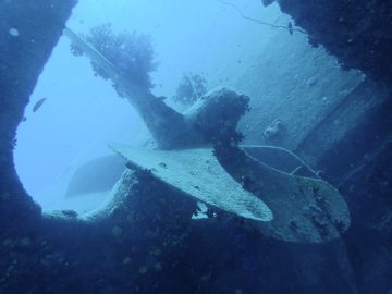 Plongée le 15 septembre 2019 sur l’épave du Humboldt