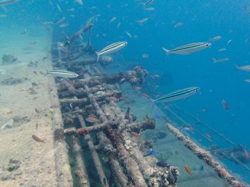 Plongée le 25 octobre 2020 sur le Humboldt