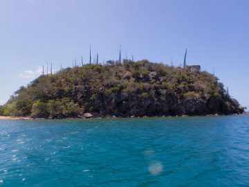 Plongée près de l’îlot Porc-Epic au Mont-Dore