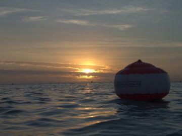 Plongée le 16 novembre 2019 à la Baie des Citrons à Nouméa