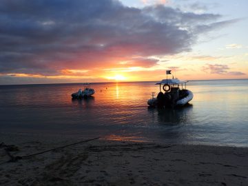 Plongée de nuit le 20 novembre 2020 près de l’ilot Ngié à l’Île des Pins