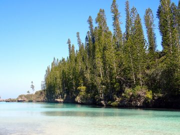 PMT le 2 décembre 2018 à la piscine naturelle de l’Île des Pins