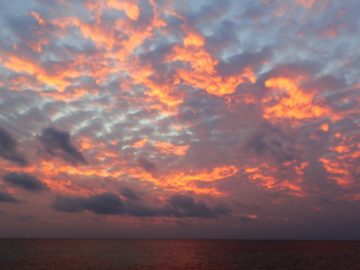 Plongées le 11 décembre 2019 dans l’atoll Huon aux Récifs d’Entrecasteaux