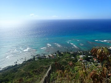 Plongée le 22 décembre 2018 sur l’épave du Sea Tiger à Hawai’i
