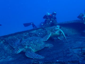 Plongée le 26 décembre 2018 sur les épaves YO-257 et San Pedro à Hawai’i