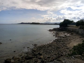 Plongée le 3 juillet 2020 au Rocher à la Voile à Nouméa