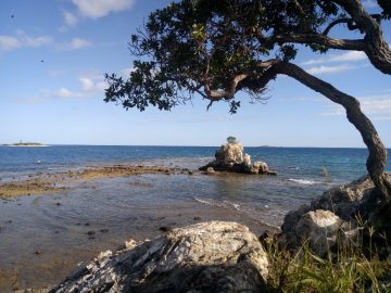 Plongée le 25 juin 2020 au rocher à la voile à Nouméa